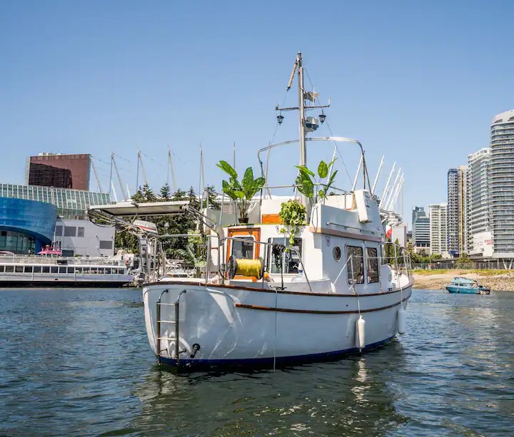 Proposal Yacht Charter Vancouver - Mystic Voyager - Image 14